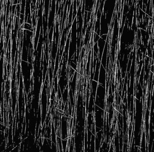 Afbeelding van het kunstwerk "wie het ziet in 't riet"